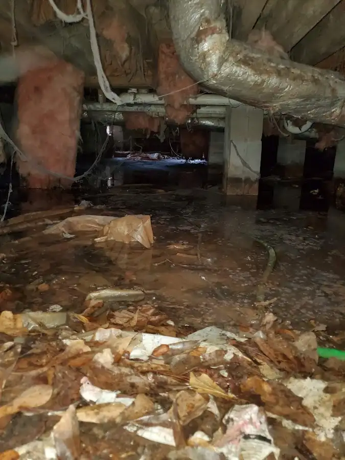 Crawl space flood assessment for Leak Detection & Repair in Parkland